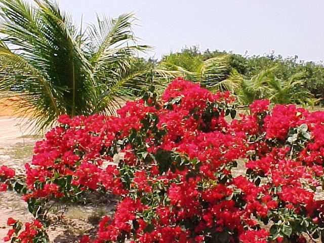 Oh! Linda Pousada Redonda Exterior photo